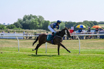 150726-Race 3-Lady Dublin-3209