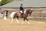SBM_001900
