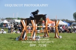 BPP_7536