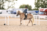 SBM_18198