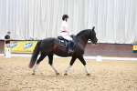 SBM_010162
