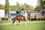 SBM_50203