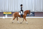 SBM_004209