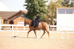 SBM_06742