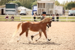 SBM_04614