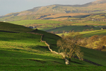 Stainmore, Yorkshire Dales.       ref 7080