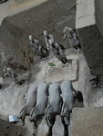 CHINA__0937