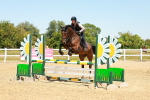 SBM_006580