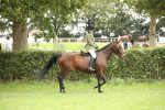 SBM_73677