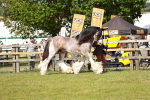 SBM_08787