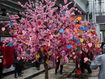 CHINA__0407