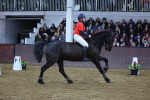 SBM_004501