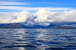IMG_7554_2