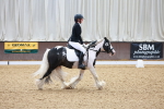 SBM_000380