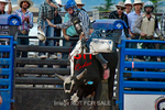 3HRodeo7-11-24_LJD_3HR2391_LJD