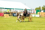 SBM_02661