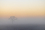 Lincolnshire portfolio