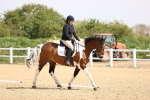 SBM_007893