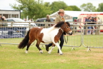 SBM_04350