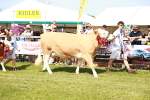 SBM_08355