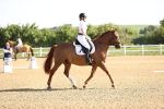 SBM_007448