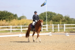 SBM_008605