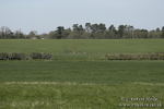 PtP 250317 371
