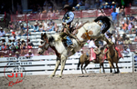 3HRodeo_CFD_JUL_18_2026_03790