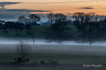 Low lying mist at sunset