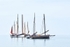 Hazy morning for the Lugger Regatta