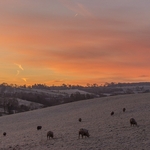 Winter Dawn In The Eden Valley