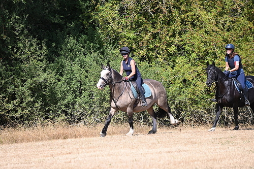 WJ6_8680