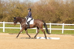 SBM_002333