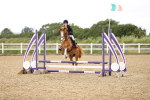 SBM_001521