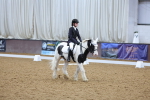 SBM_000453