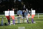 659-MACS.BOY-Daisy.Fulton-TrotUp+SJ portfolio