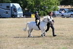 WJ6_7834