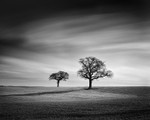 Light and Shape