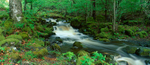 Watendlath Beck, Derwent Water EDC088
