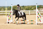 SBM_006917
