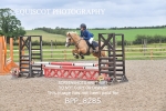 CLASS 14 SUN Stepping Stones 128/ 138cms Handicap portfolio