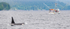 Ketchikan -89