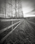 Fence Line, Wharfedale