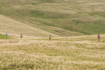 Sedbergh -892