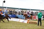 SBM_16465