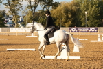 SBM_52970