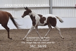 JAC_6699