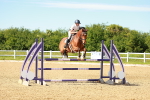 SBM_002904
