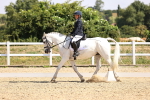 SBM_003661