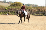 SBM_009285